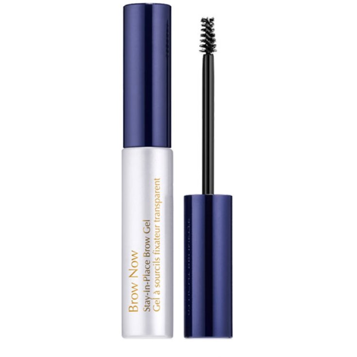 Estee Lauder Brow Now Gel pour sourcils Stay in Place