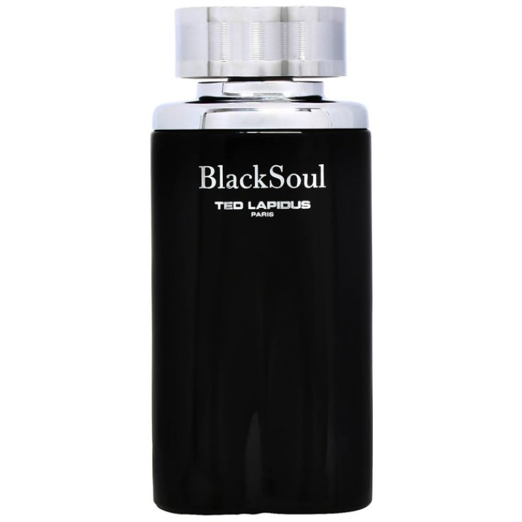 Ted Lapidus Black Soul Eau De Toilette Vaporisateur 100ml