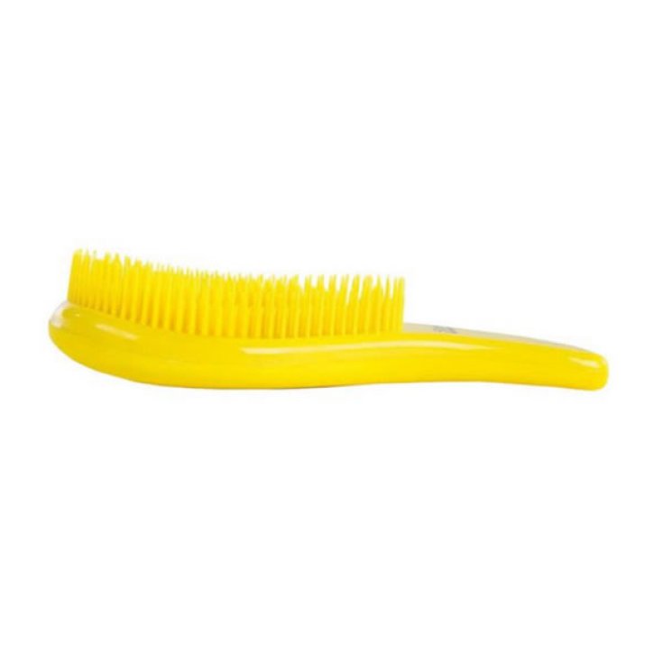 Sibel D Pommiers Pommier Jaune