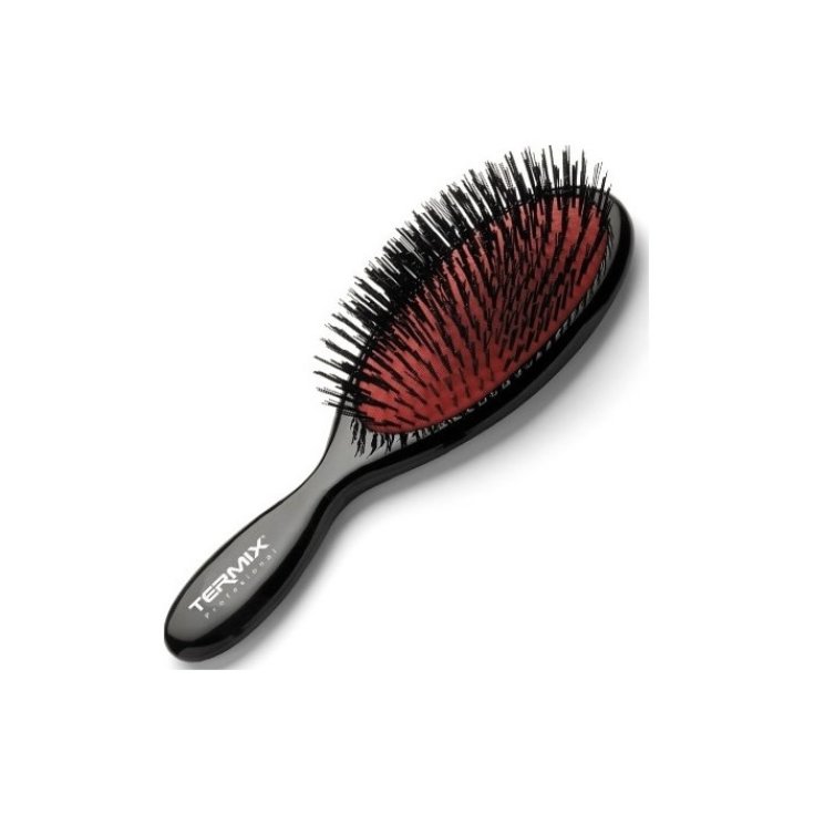 Grande brosse en nylon Termix