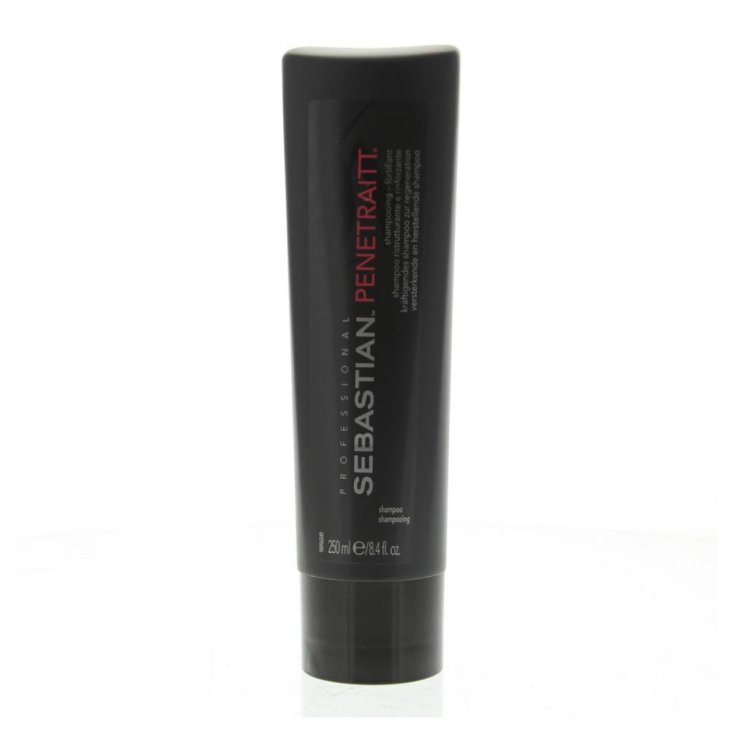 Sebastian Penetraitt Shampooing Restructurant et Fortifiant 250ml