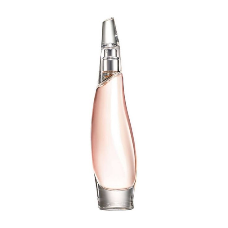 Donna Karan Liquid Cashmere Eau De Parfum Vaporisateur 100 ml