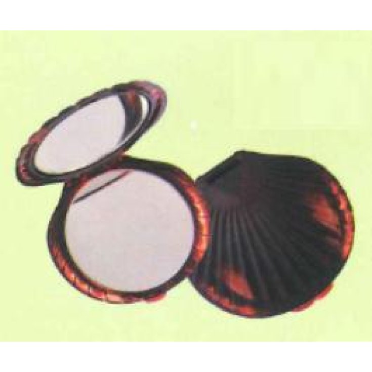 MIROIR GUENZANI 51 DU SAC ING2