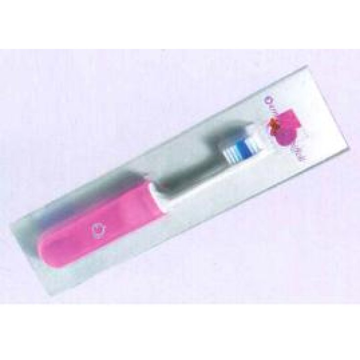 BIFFOLI VOYAGE BROSSE A DENTS 3244