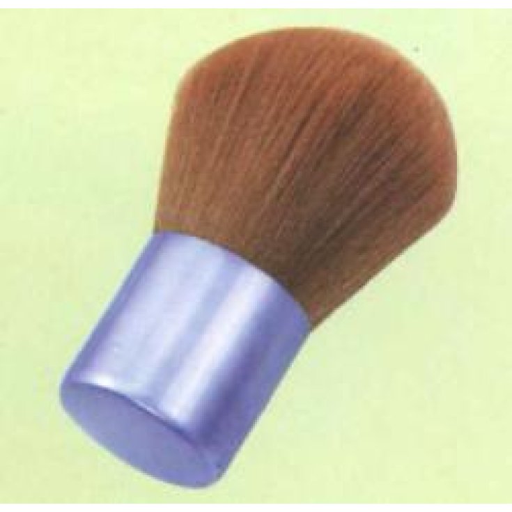 BIFFOLI BROSSE 71112 COURTE X POL