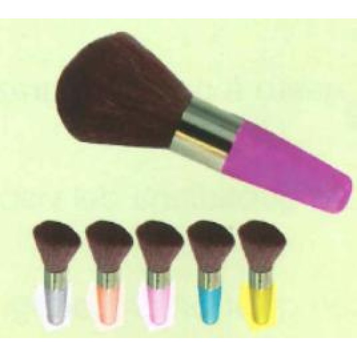 BIFFOLI PINCEAU BLUSHER 102 COURT CE