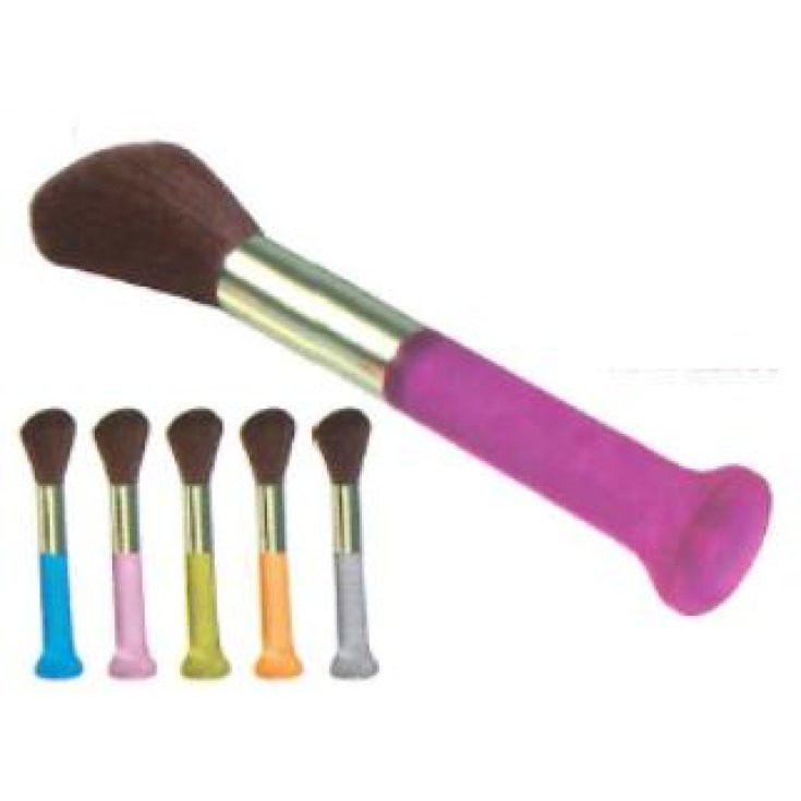 BIFFOLI BROSSE BLUSHER 100 LONG CE