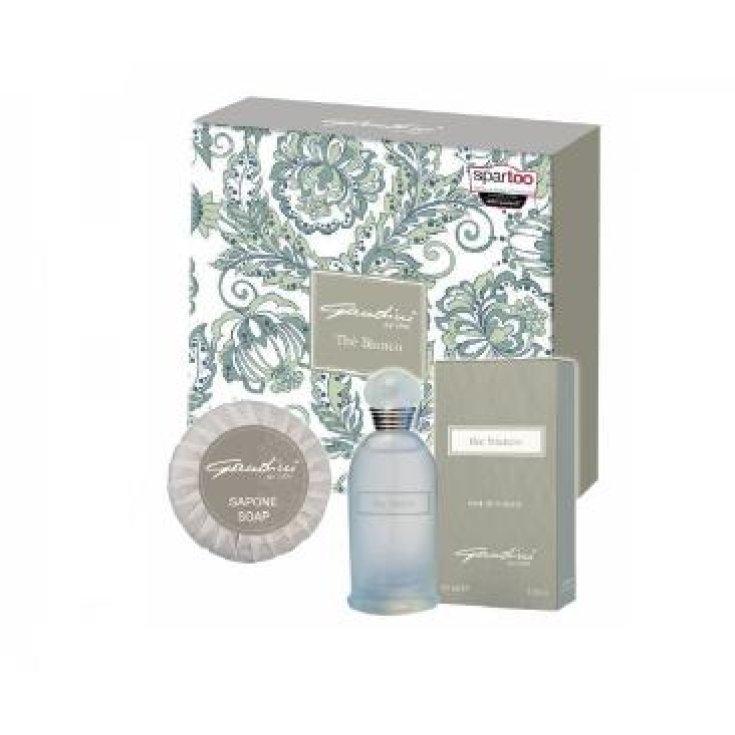 @GANDINI LE KIT BLANC 626 ET30+SA