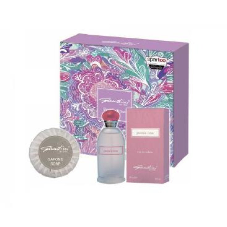 @GANDINI KIT PIVOINE ROSE627 ET30+S