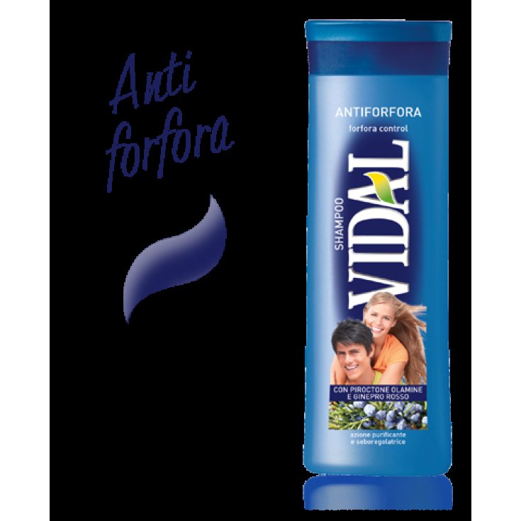 VIDAL SH ANTIPELLICULAIRE 250 ML