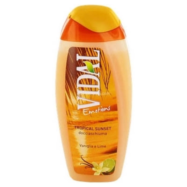 VIDAL D/S VANILLE ET CITRON VERT 250 ML