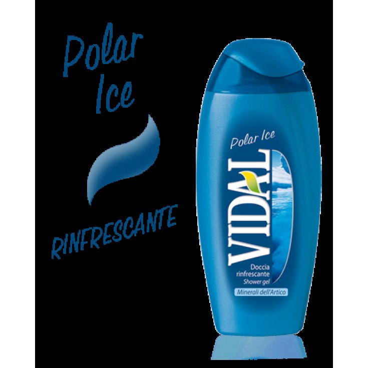 VIDAL D/S GLACE POLAIRE 250 ML