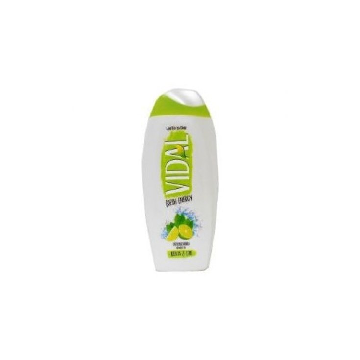 VIDAL D/S MENTHE ET CITRON VERT 250ML
