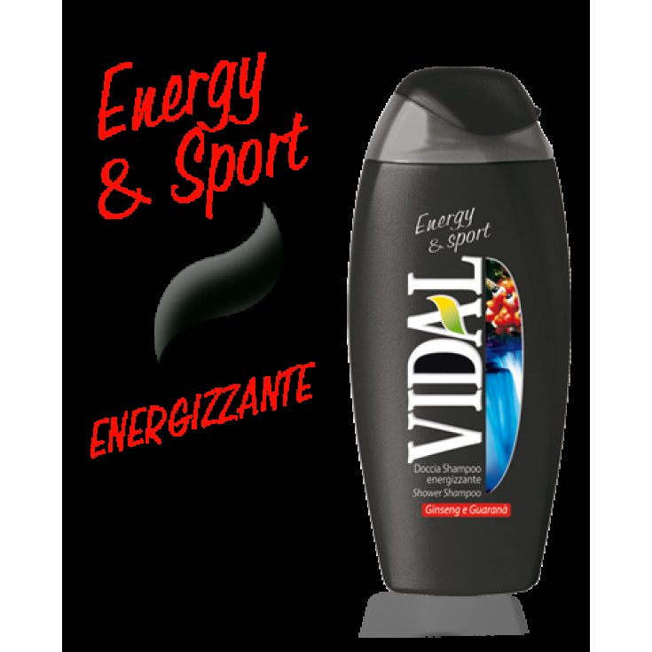 VIDAL D/S GINSENG 250 ML