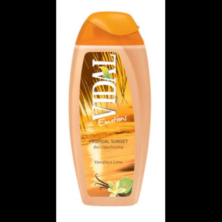 VIDAL B/S VANILLE ET CITRON VERT 500 ML