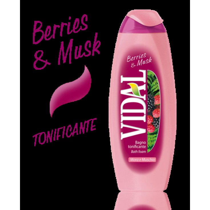 VIDAL B/S MÛRE & MOUSSE 500 ML
