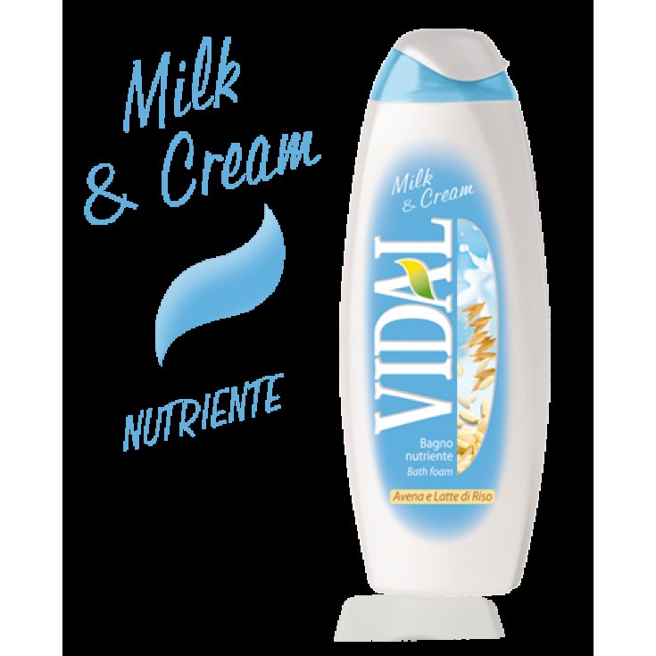 VIDAL B/S LAIT & CRÈME 500 ML