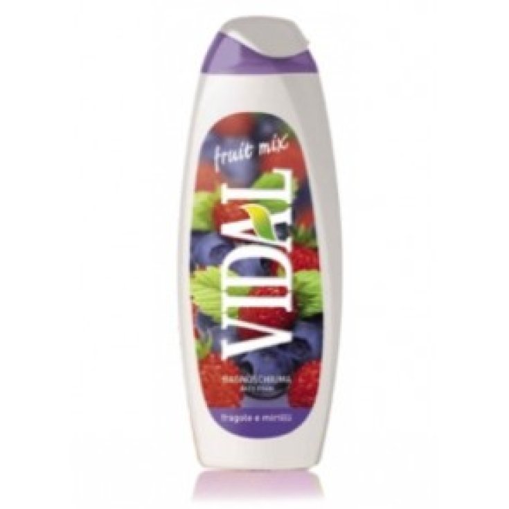 * VIDAL B/S FRAISE ET BLEUET 500 M