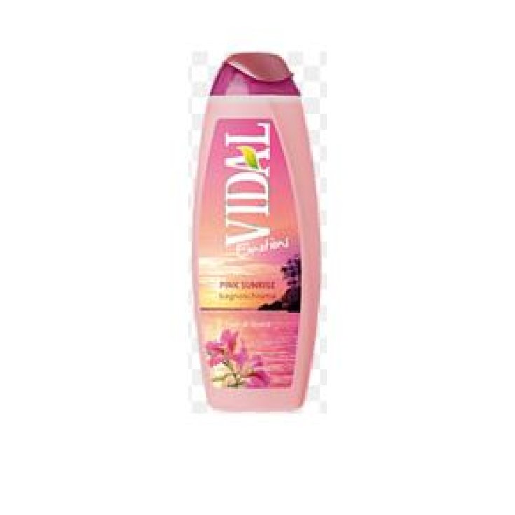 * VIDAL B/S FLEURS D'HIBISCUS 500 ML