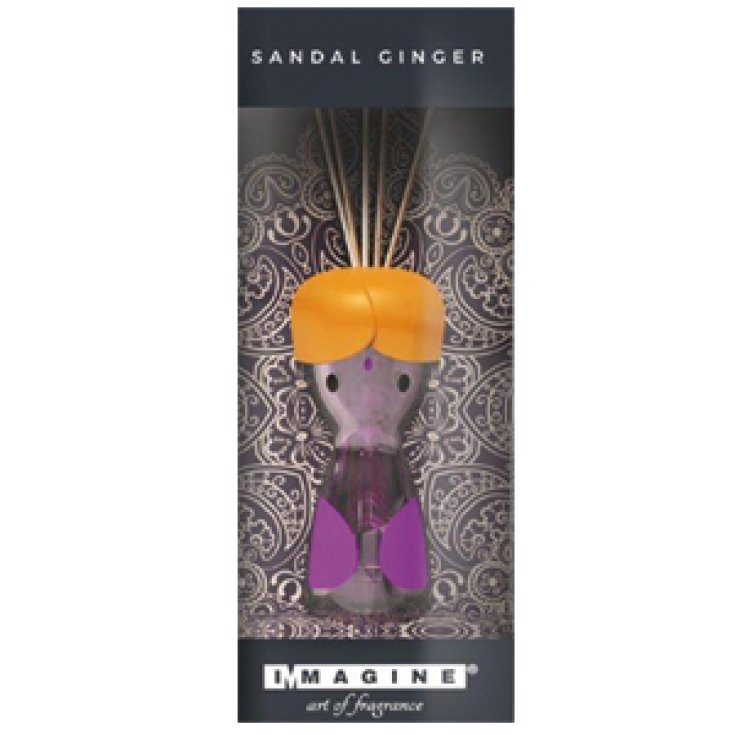 * SANDALE GINGER MONDE HOMME