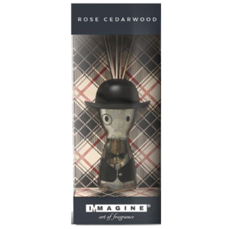 * ROSE CEDARWOOD MONDE HOMMES