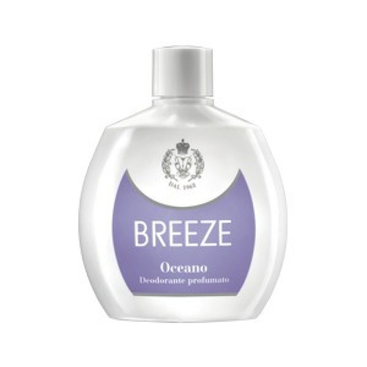 BREEZE DEO SQUEEZE OCEAN 100 ML