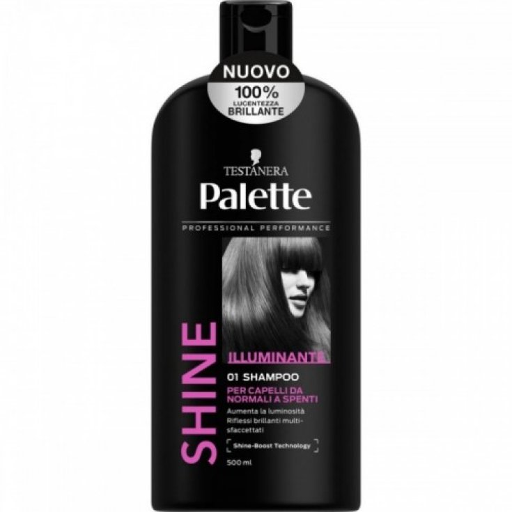 PALETTE SHAMPOOING BRILLANCE 500 ML