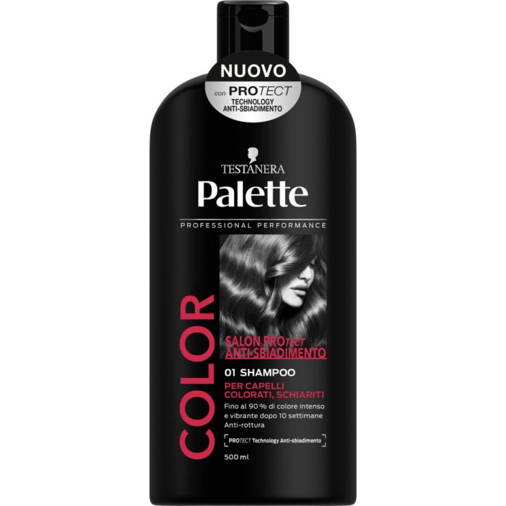 PALETTE SHAMPOOING COULEUR 500 ML