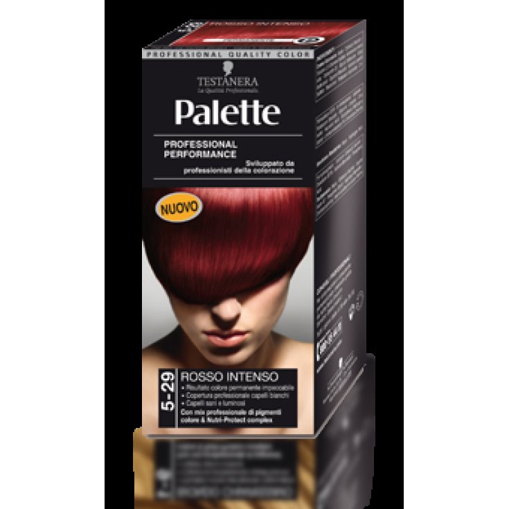 HEAD PALETTE 5-29 ROUGE INTEN