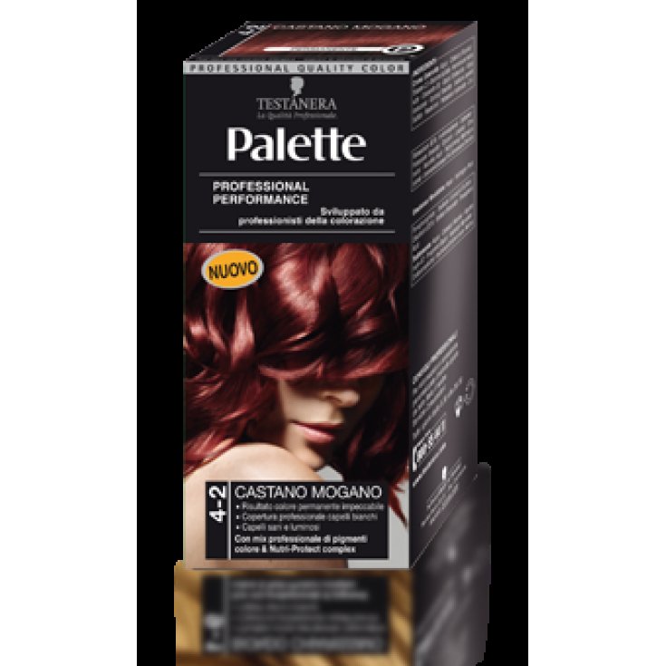 PALETTE 4-2 TÊTES FONTES ACAJOU