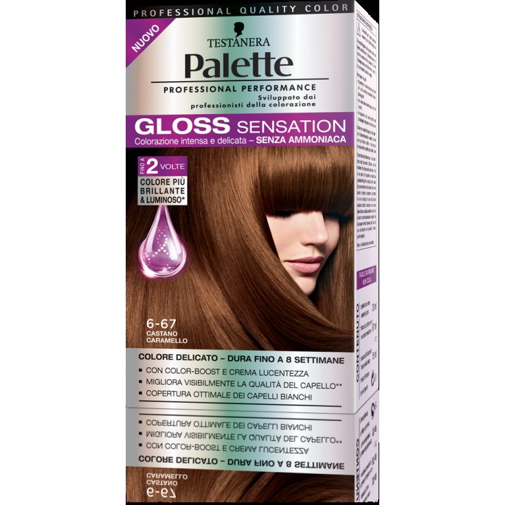 * PALETTE GLOSS SENSATION 6-67 C / CAR