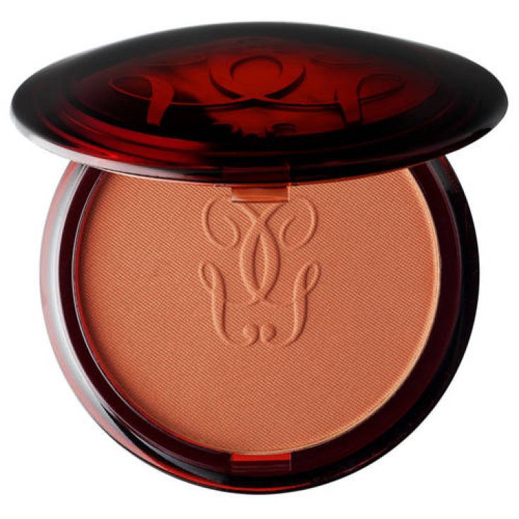 GUE TERRA POUDRE BRONZANT 02