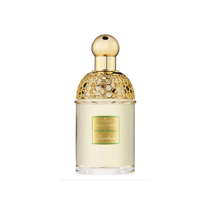 Guerlain Aqua Allegoria Herba Fresca Eau De Toilette Vaporisateur 75 ml