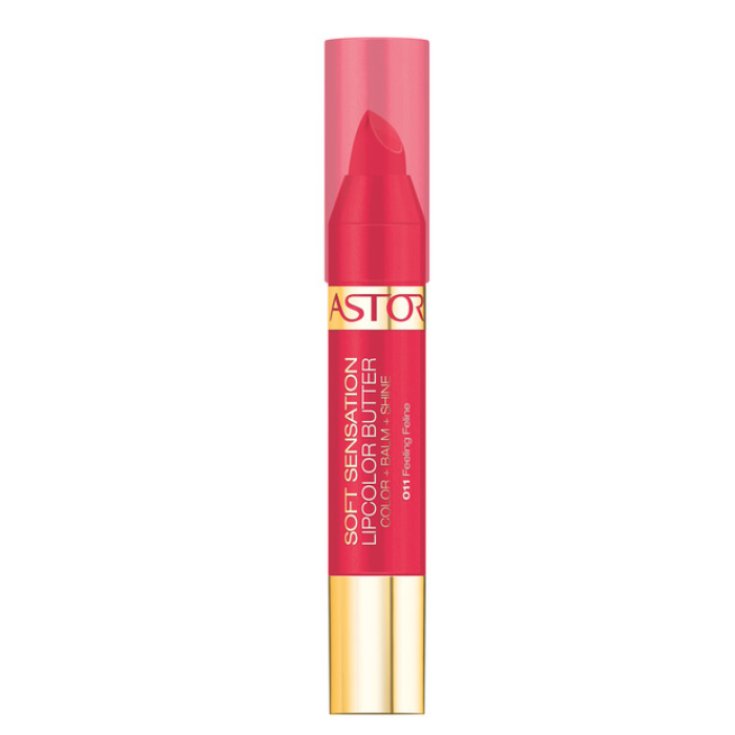 Astor Labial Crayon Beurre Soft Sensation 011 Feeling Feline