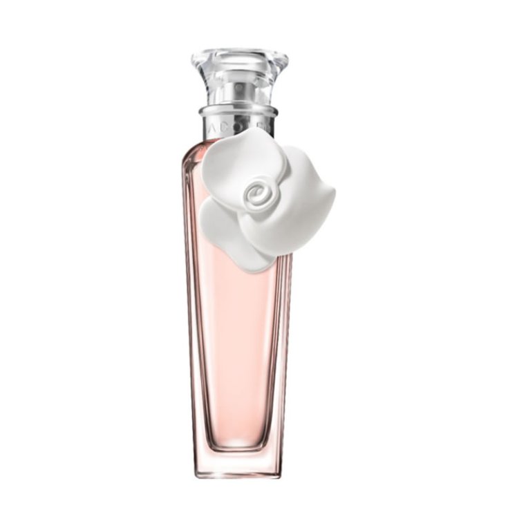Adolfo Dominguez Agua Fresca De Rosas Blancas Eau De Toilette Vaporisateur 120 ml