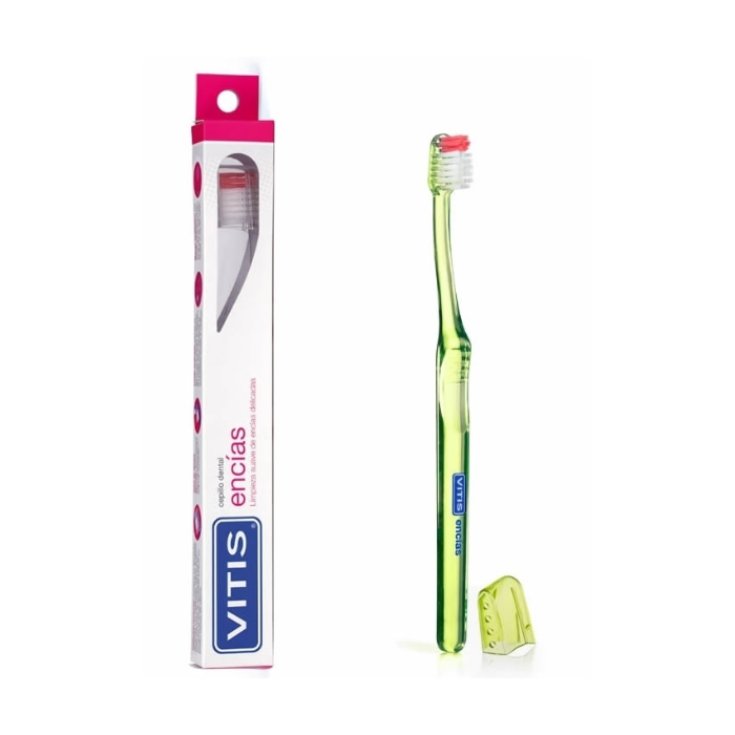 Gomme pour brosse à dents Vitis