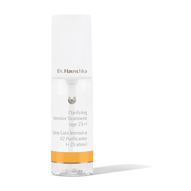 Dr Hauschka Soin Clarifiant Intensif 02 Clarifiant 40 ml
