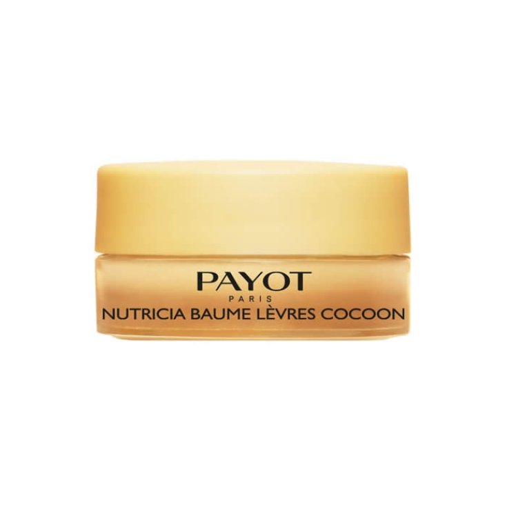 Payot Baume Lèvres Cocon Soin Nourrissant et Réconfortant 6 g