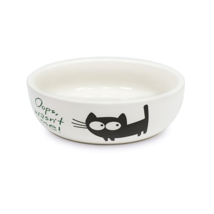 BOL EN CÉRAMIQUE RECORD BLANC OUPS 1