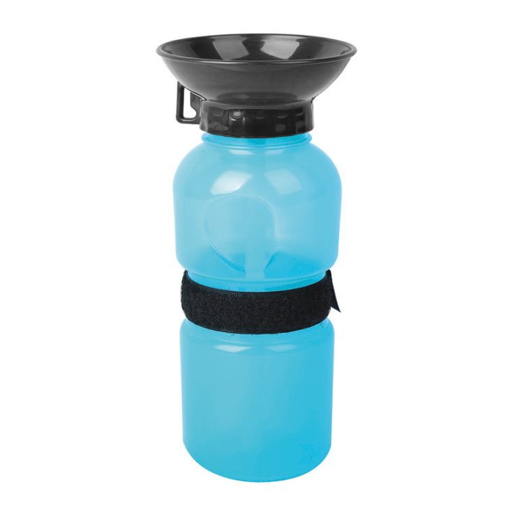 BOUTEILLE RECORD AVEC BOL RIVER BLEU 2