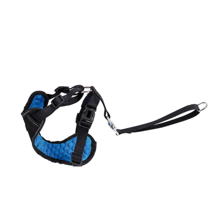 RECORD RECORD-AUTO BIB ET RACCORD,