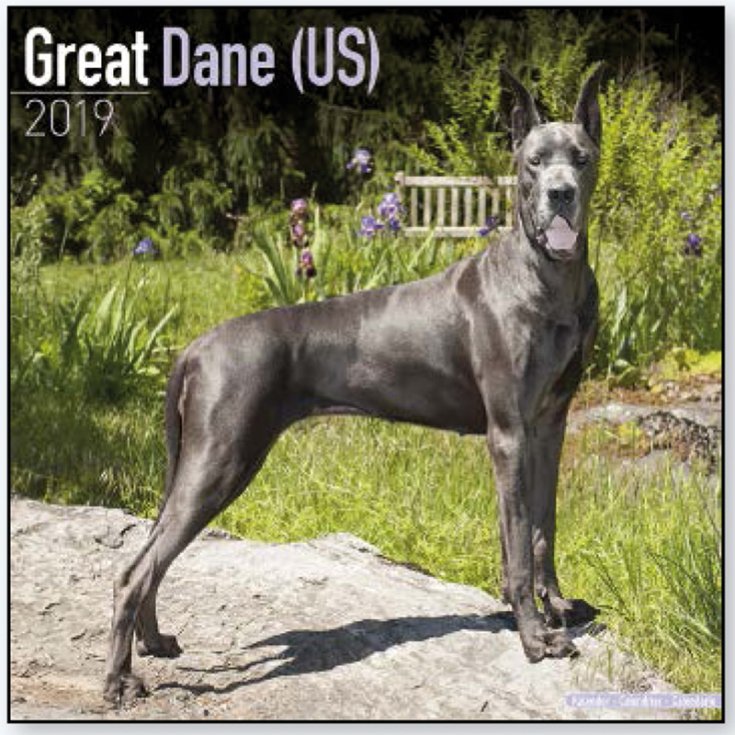 ENREGISTREMENTS DE CALENDRIER