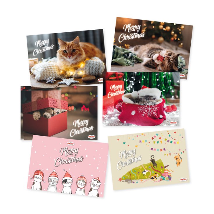 DOSSIERS DE NOËL TOV.SOTTOCIOT.GATTI C/AN