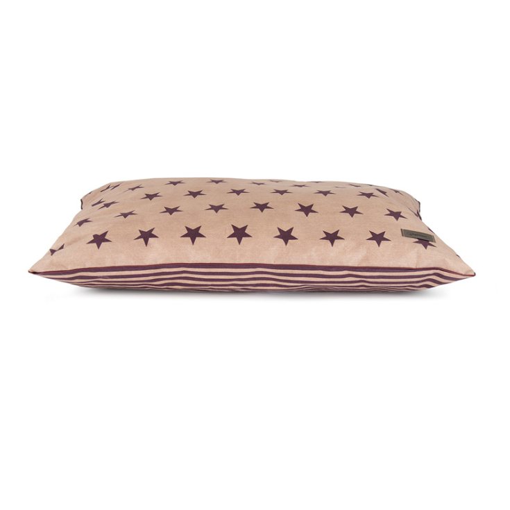 RECORD BYECTERIA-COUSSIN BOURGOGNE ET BEIG