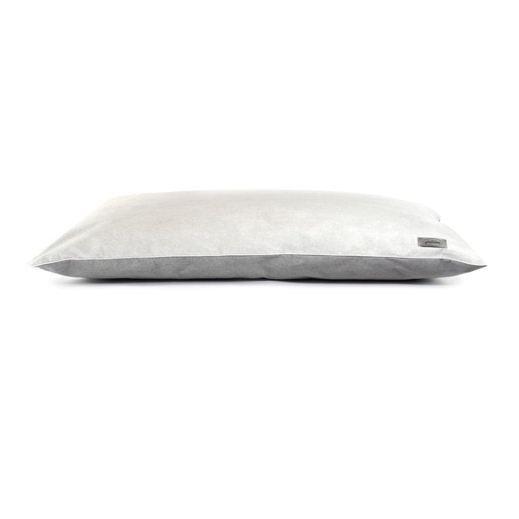 RECORD BYECTERIA LONDON COUSSIN RTT. LE