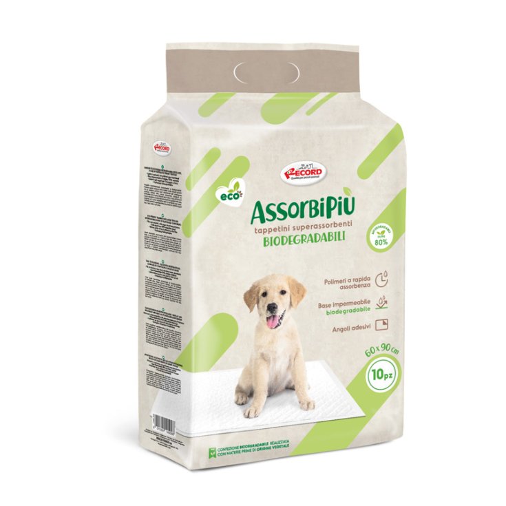 RECORD ABSORBIPIU 10 TAPIS ABSORBANTS