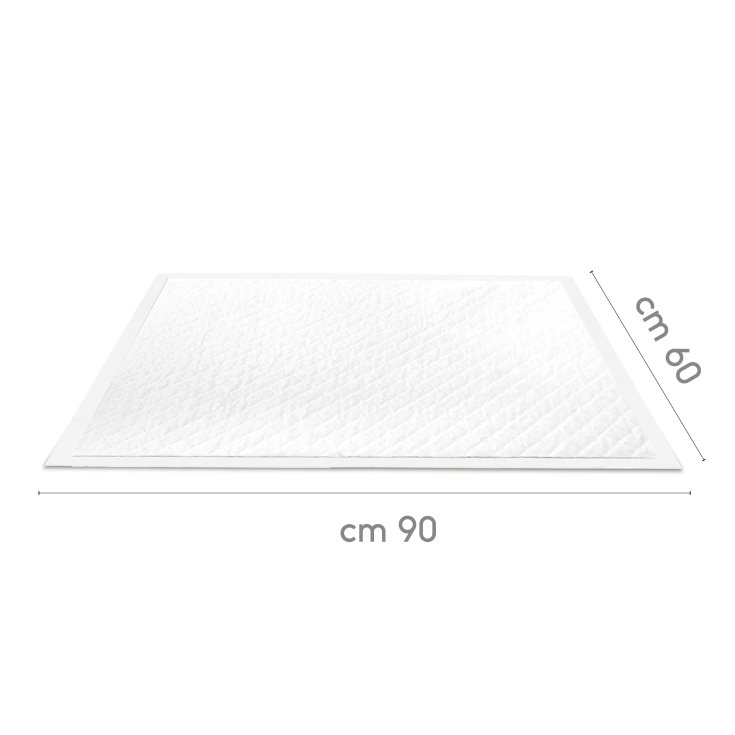 RECORD ABSORBIPIU 30 TAPIS ABSORBANTS