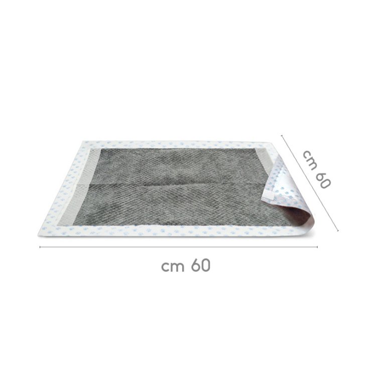 RECORD ABSORBIPIU 40 TAPIS 60X60 VOITURE