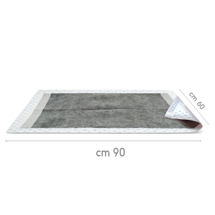 RECORD ABSORBIPIU 30 TAPIS ABSORBANTS