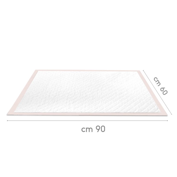 RECORD ABSORBIPIU 30 TAPIS ABSORBANTS